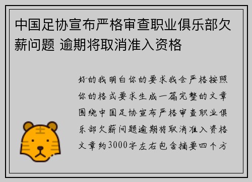 中国足协宣布严格审查职业俱乐部欠薪问题 逾期将取消准入资格